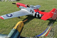 Vikingmeet12_