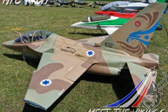 Vikingmeet15_