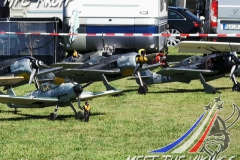 Vikingmeet30_