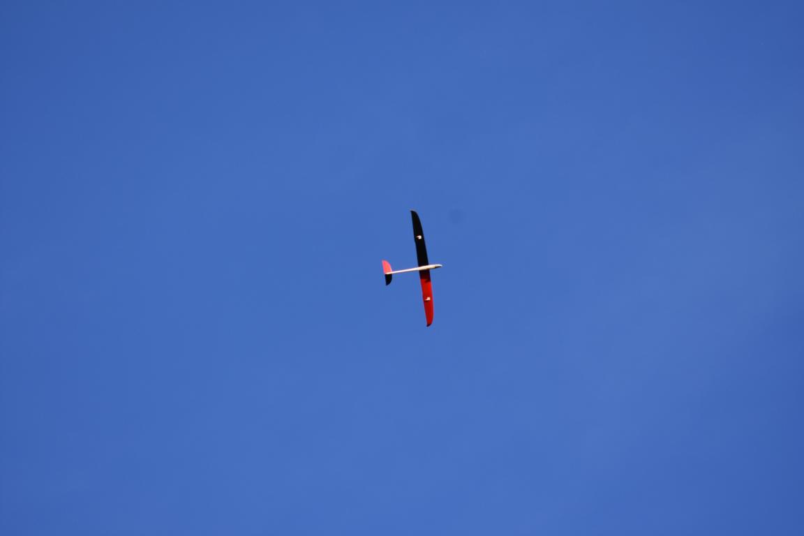 DSC_0336