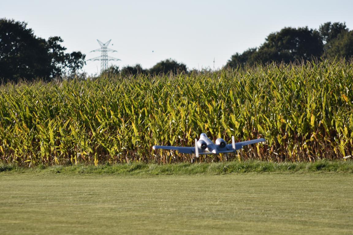 DSC_0345