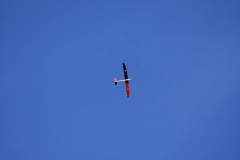 DSC_0336