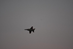 DSC_0390
