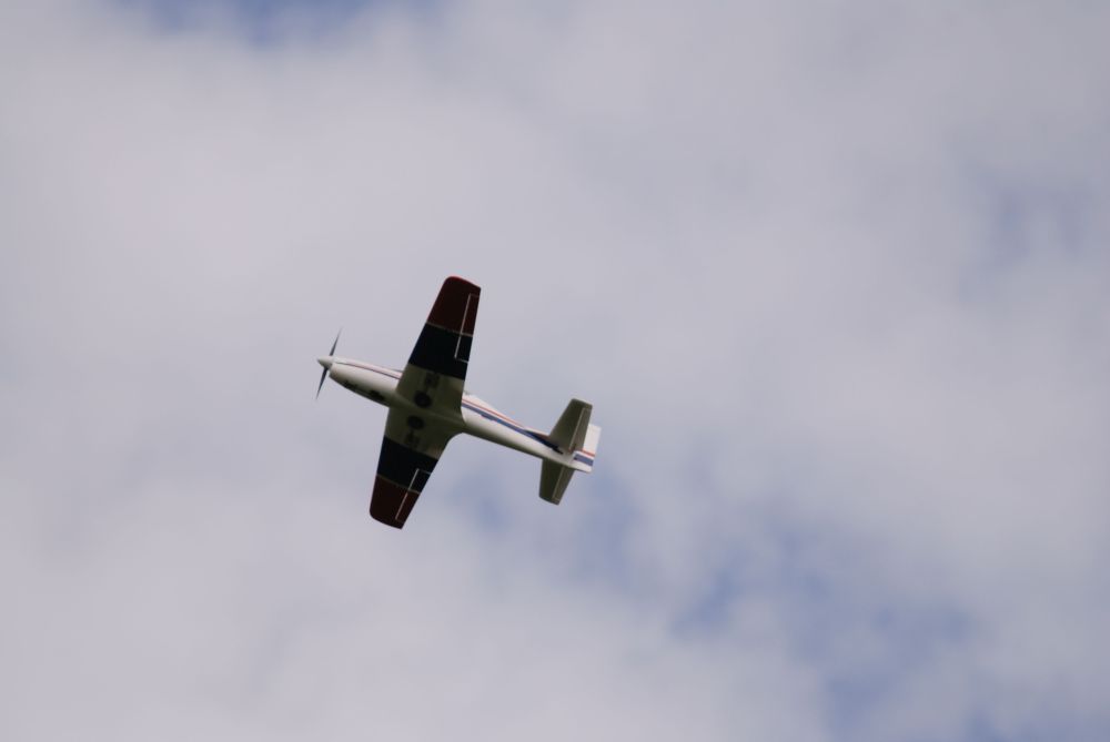DSC_0017