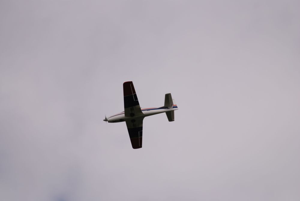 DSC_0019