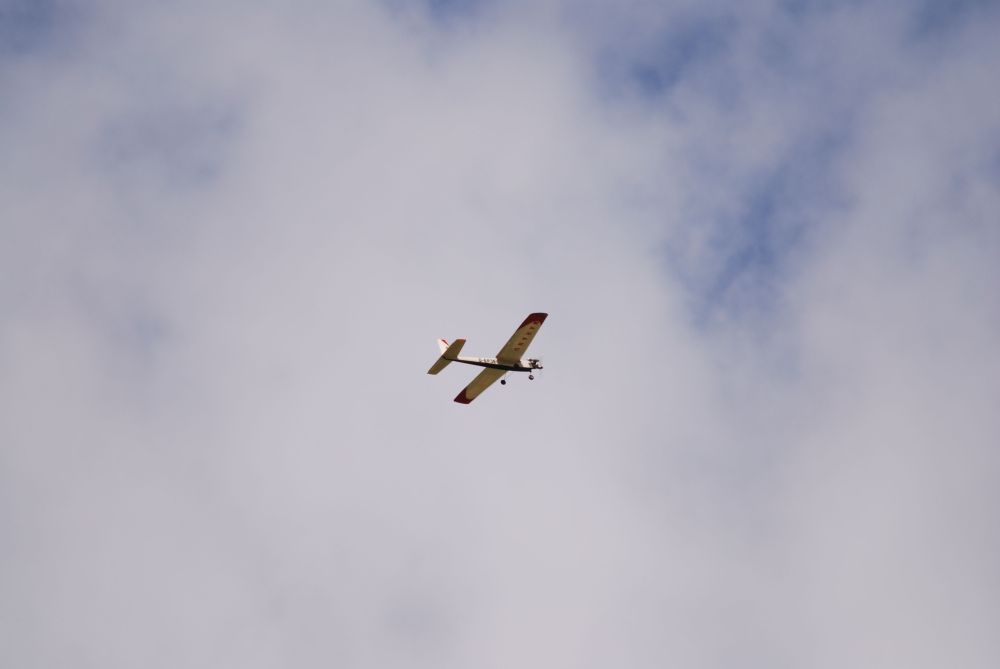 DSC_0185