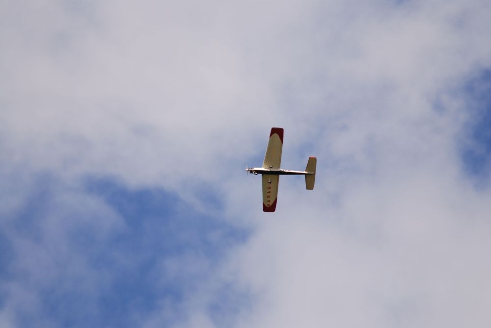 DSC_0186