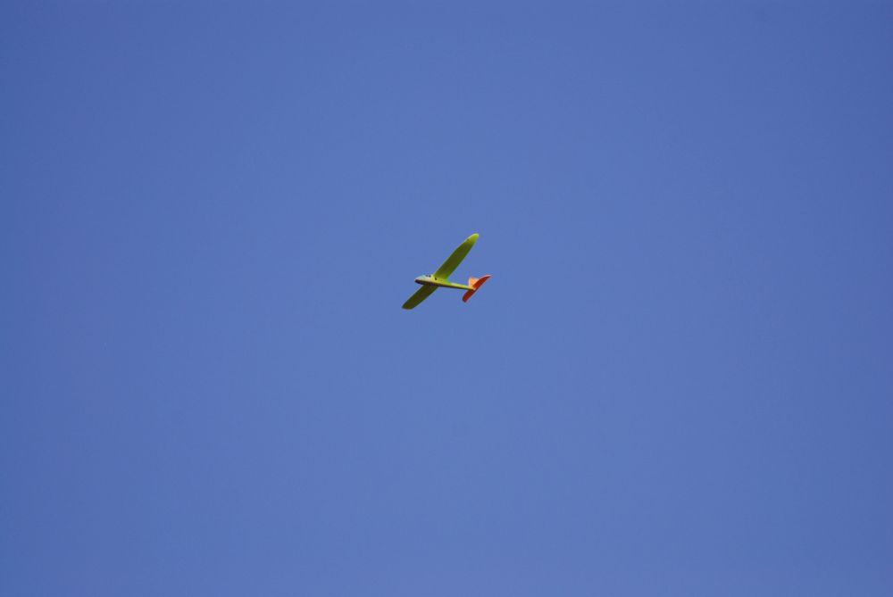 DSC_0206