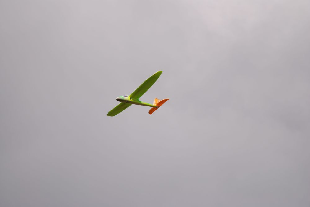 DSC_0210