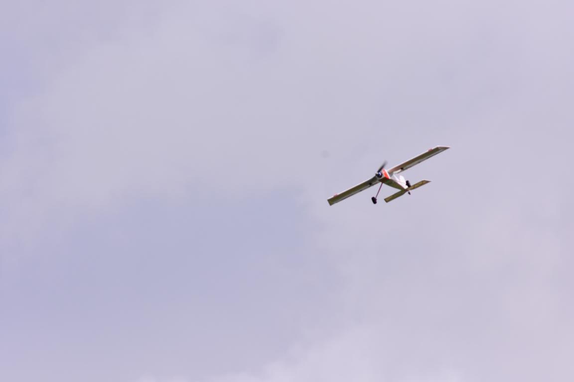 DSC_0081