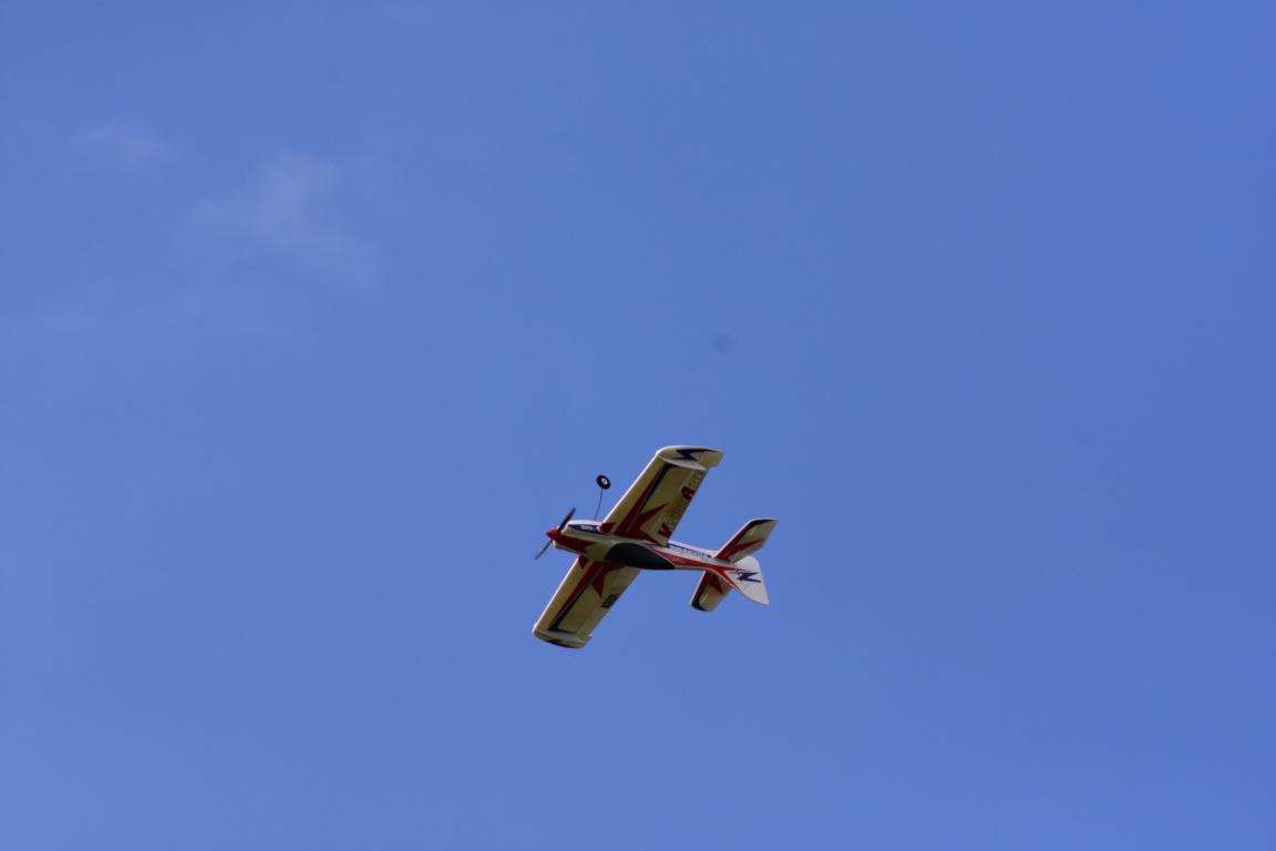 DSC_0146