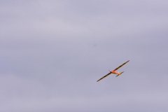 DSC_0129